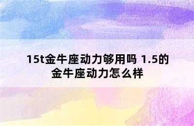 15t金牛座动力够用吗 1.5的金牛座动力怎么样